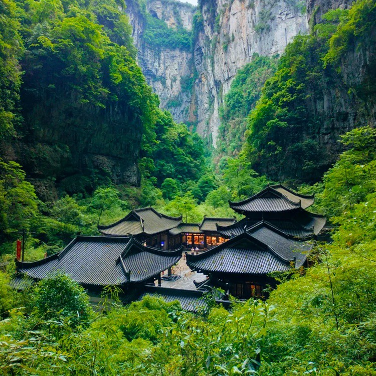 Chongqing Liziba Deck Deck Chengdu Giant Panda Flower Tour